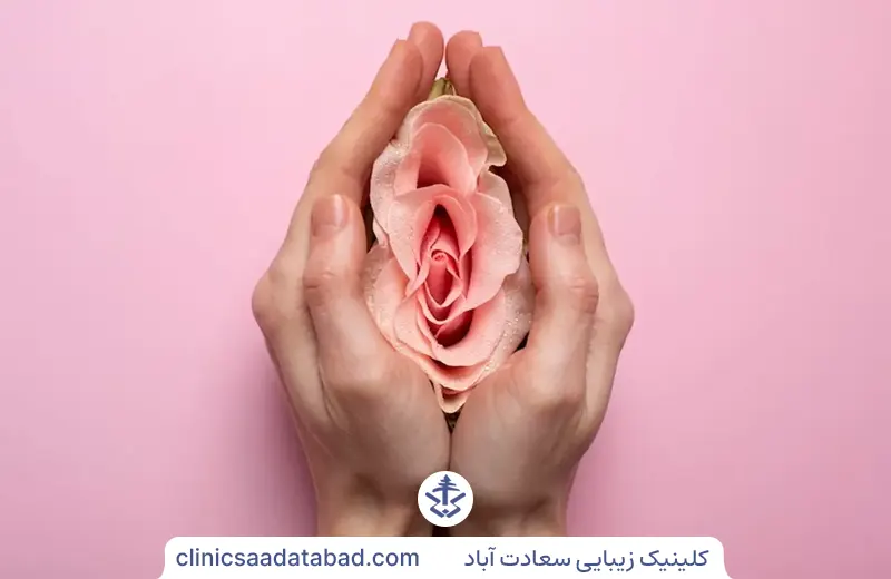 لابیاپلاستی