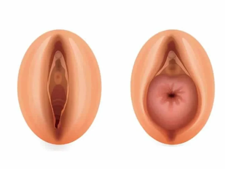 rahim-sarkmasi-1200x900-1